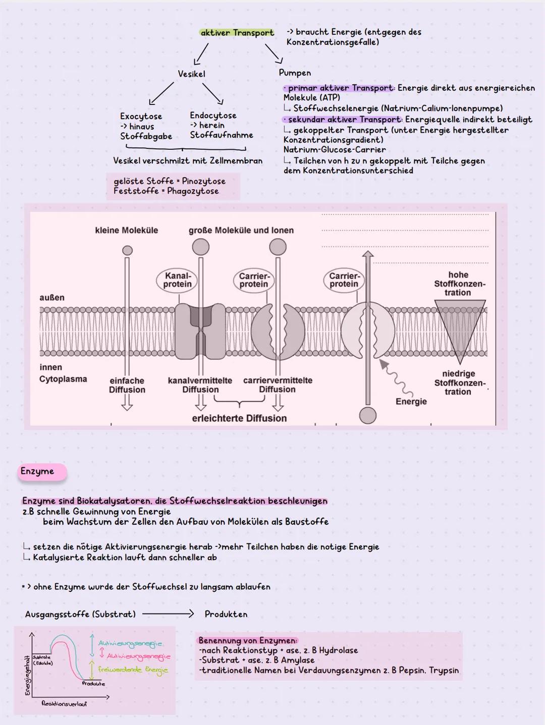 BIOLOGIE KLAUSUR K1.1
Organische Stoffe
Hydroxygruppe: - H -> Alkohole/Kohlenhydrate (Ethanol/Glucose)
L. Wasserstoffbrücken
101
⚫ Aldehydgr