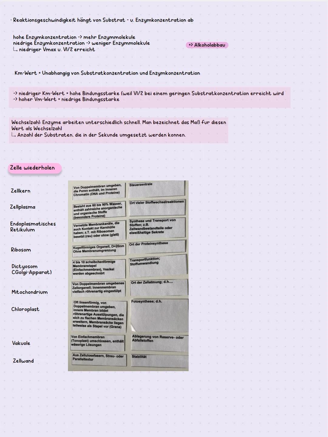 BIOLOGIE KLAUSUR K1.1
Organische Stoffe
Hydroxygruppe: - H -> Alkohole/Kohlenhydrate (Ethanol/Glucose)
L. Wasserstoffbrücken
101
⚫ Aldehydgr