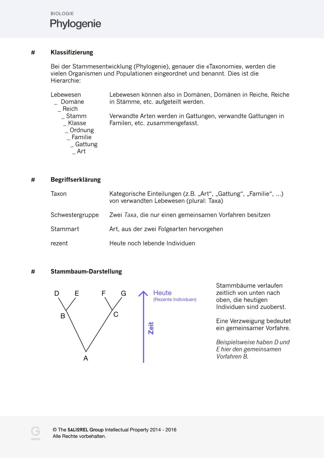 # Biologie
# Evolution
saliorel Zusammenfassungen
Semesterprüfung
Freitag, 17. Juni 2016
- Evolutionstheorien Lamarck/Darwin
- Evolution