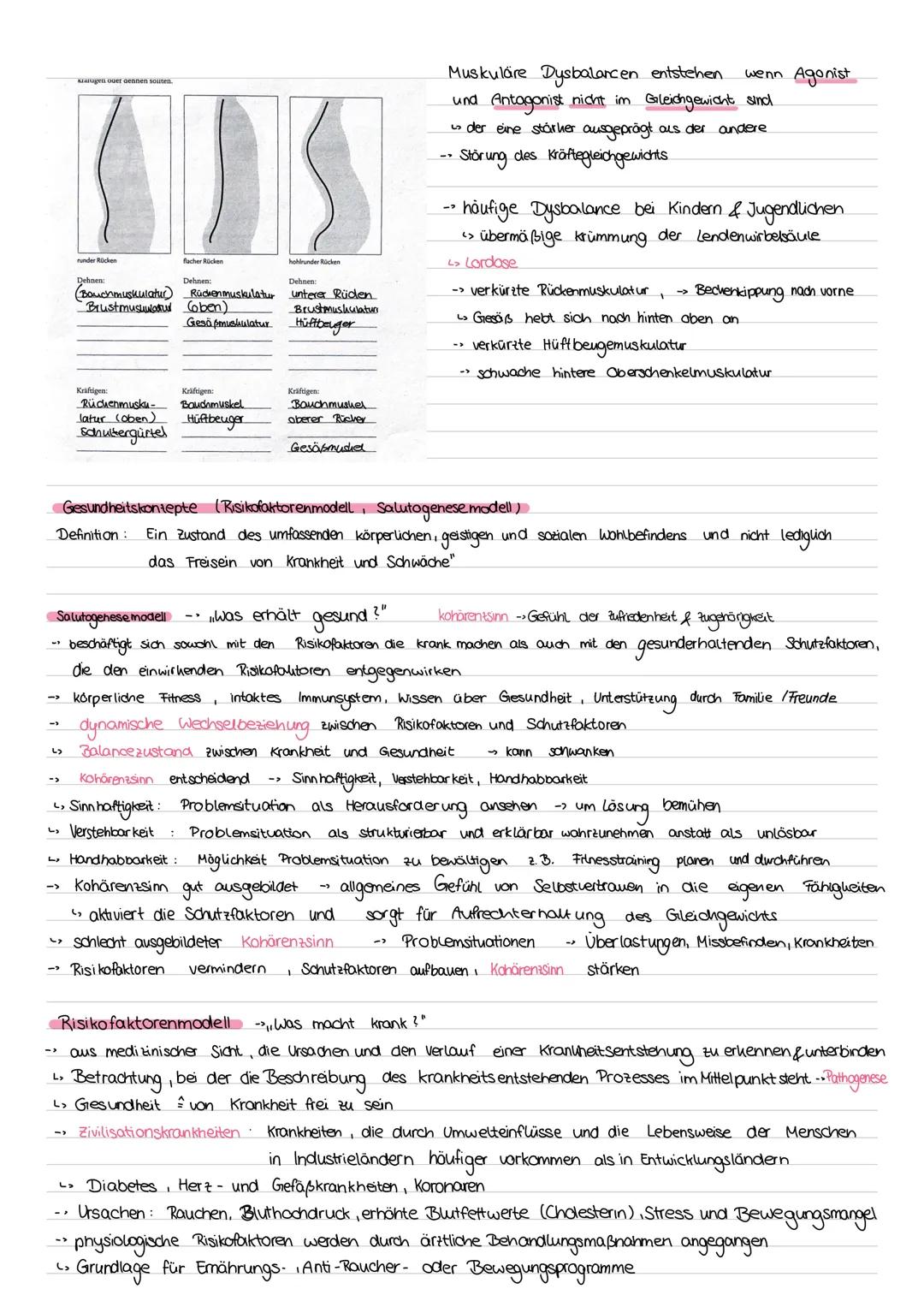 # Sport Klausur Nr.2 Q2
-Hauptmuskelgruppen der Skelettmuskulatur
- Sportbiologische Grundlagen II (Muskelaufbau, Greif-Loslass-Mechanismus