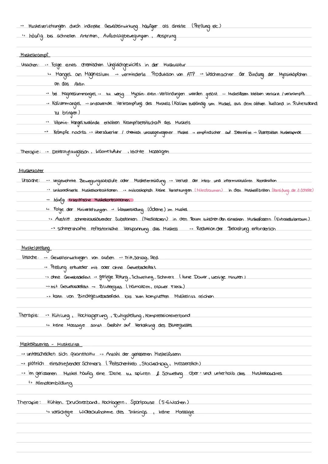 # Sport Klausur Nr.2 Q2
-Hauptmuskelgruppen der Skelettmuskulatur
- Sportbiologische Grundlagen II (Muskelaufbau, Greif-Loslass-Mechanismus
