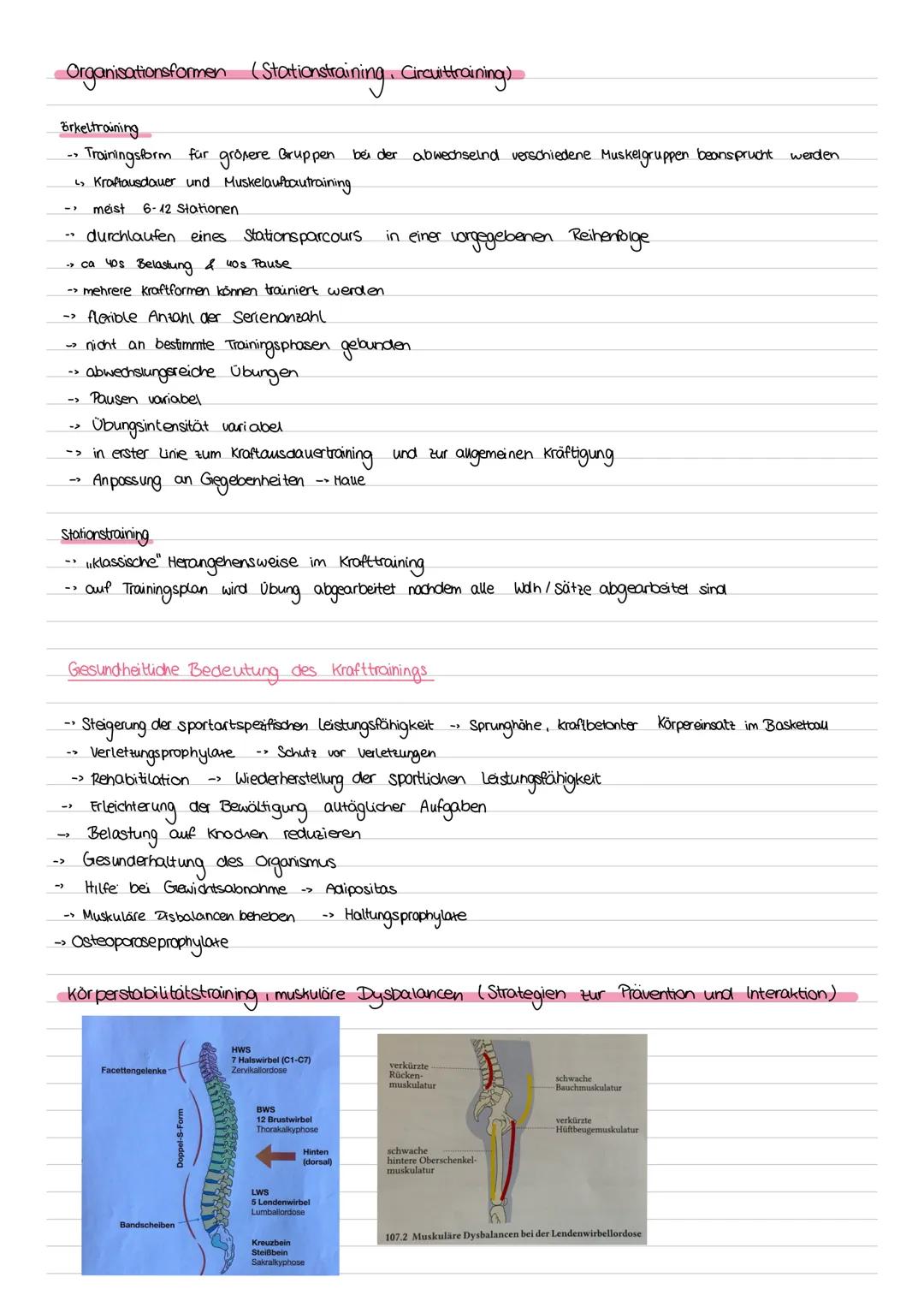 # Sport Klausur Nr.2 Q2
-Hauptmuskelgruppen der Skelettmuskulatur
- Sportbiologische Grundlagen II (Muskelaufbau, Greif-Loslass-Mechanismus