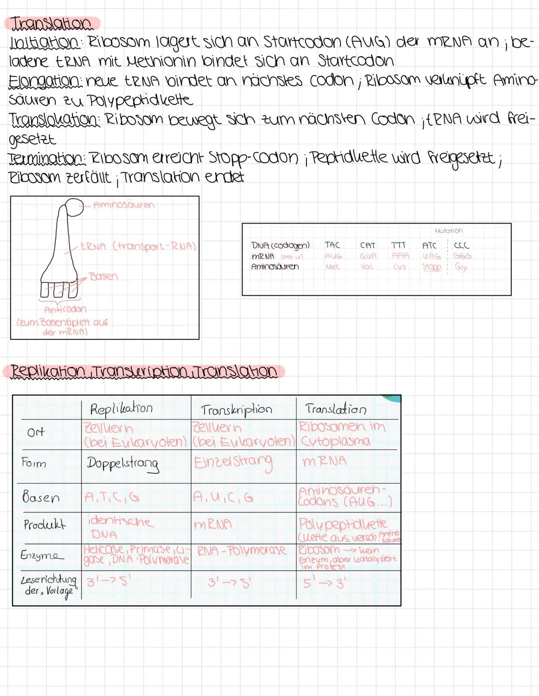 Biologie klausur I
Struktur der DNA
Genes Vererbung: Merkmale wie Augenfarbe, Körpergröße, Haarstruktur und
bestimmte Krankheiten werden übe