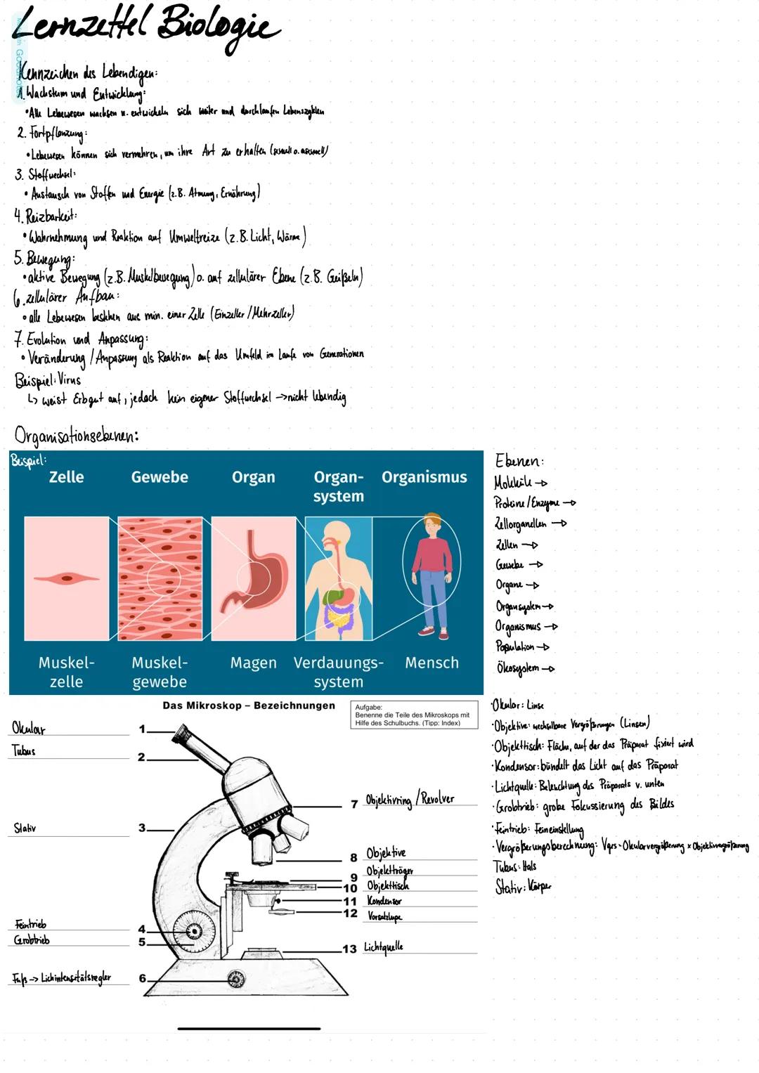 Lernzettel Biologic
Kennzeichen des Lebendigen
1. Wachstum und Entwicklung:
Alle Lebewesen wachsen . entwickeln sich weiter und durchlaufen