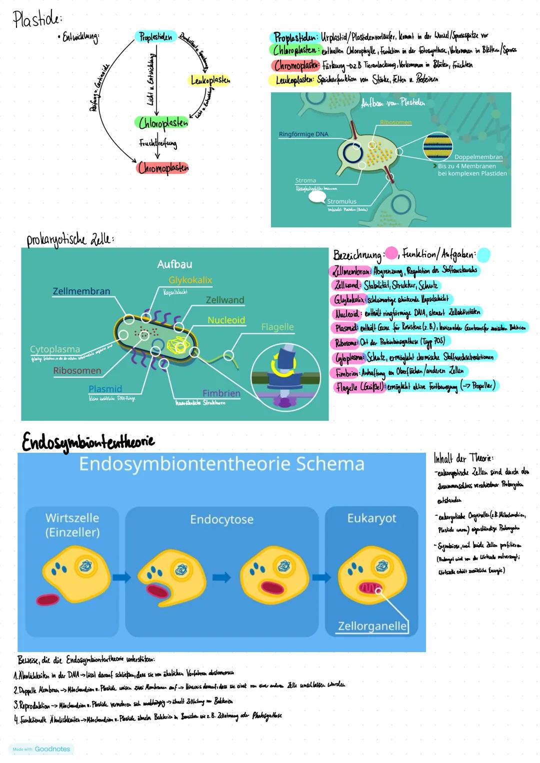 Lernzettel Biologic
Kennzeichen des Lebendigen
1. Wachstum und Entwicklung:
Alle Lebewesen wachsen . entwickeln sich weiter und durchlaufen