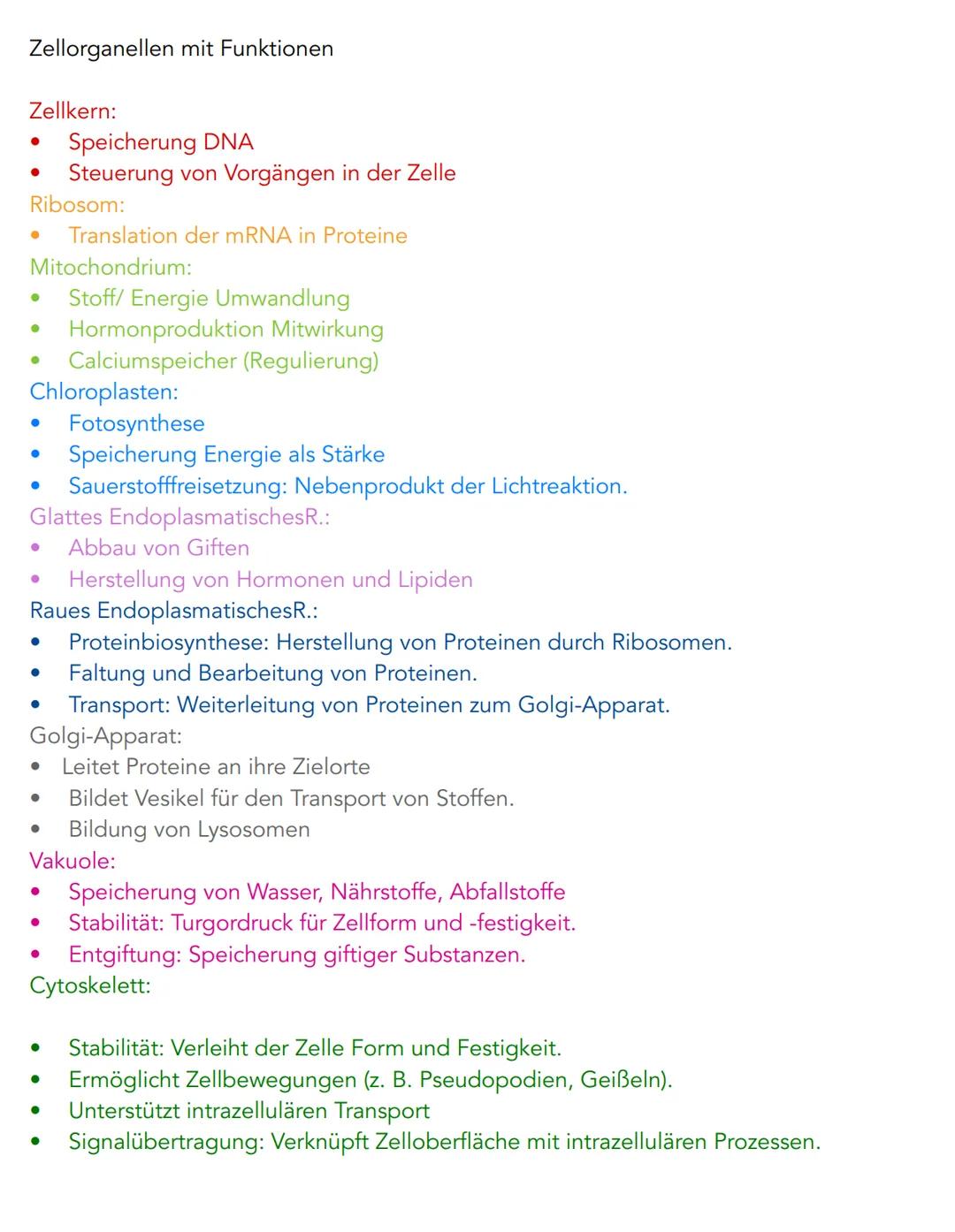 Pflanzenzelle
Chloroplast
Chromoplast
Endoplasmatisches
Reticulum (ER)
Nukleus
Zellkern
Golgi-Apperat
Ribosomen
Tierzelle
Vesikel
Vakuole
Cy