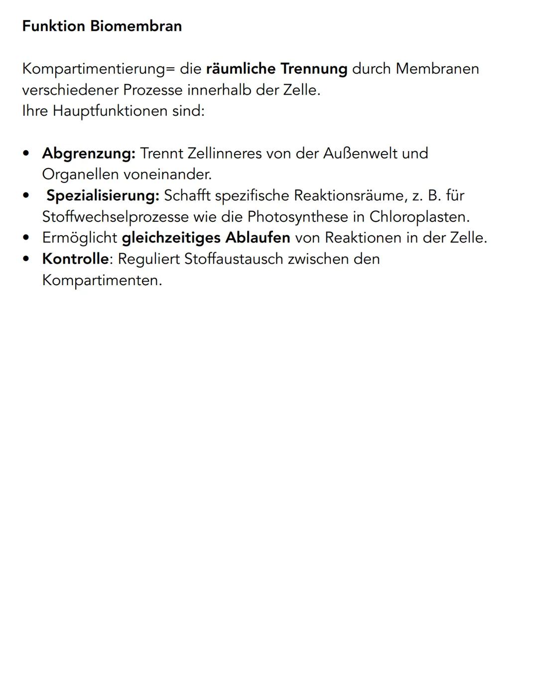 Pflanzenzelle
Chloroplast
Chromoplast
Endoplasmatisches
Reticulum (ER)
Nukleus
Zellkern
Golgi-Apperat
Ribosomen
Tierzelle
Vesikel
Vakuole
Cy