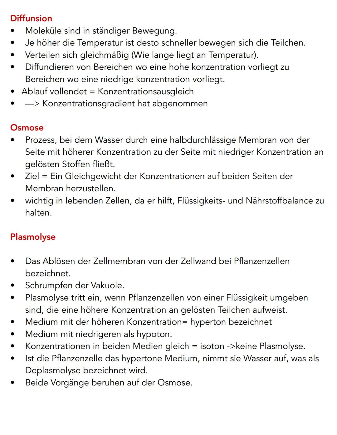 Pflanzenzelle
Chloroplast
Chromoplast
Endoplasmatisches
Reticulum (ER)
Nukleus
Zellkern
Golgi-Apperat
Ribosomen
Tierzelle
Vesikel
Vakuole
Cy
