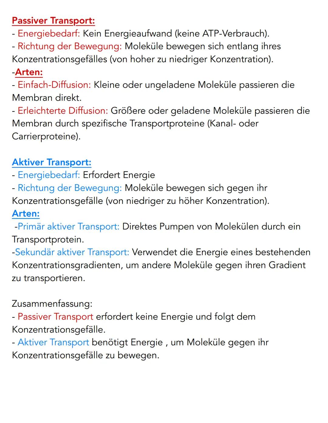 Pflanzenzelle
Chloroplast
Chromoplast
Endoplasmatisches
Reticulum (ER)
Nukleus
Zellkern
Golgi-Apperat
Ribosomen
Tierzelle
Vesikel
Vakuole
Cy