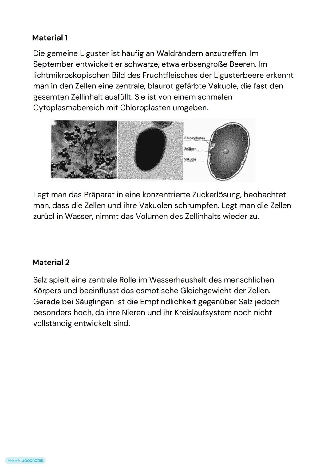 # BEISPIELKLAUSURAUFGABE
Aufgabe 1.1.
Erkläre und vergleiche die Begriffe Diffusion und Osmose.
Aufgabe 1.2.
Erläutere die in M1 beschrieb