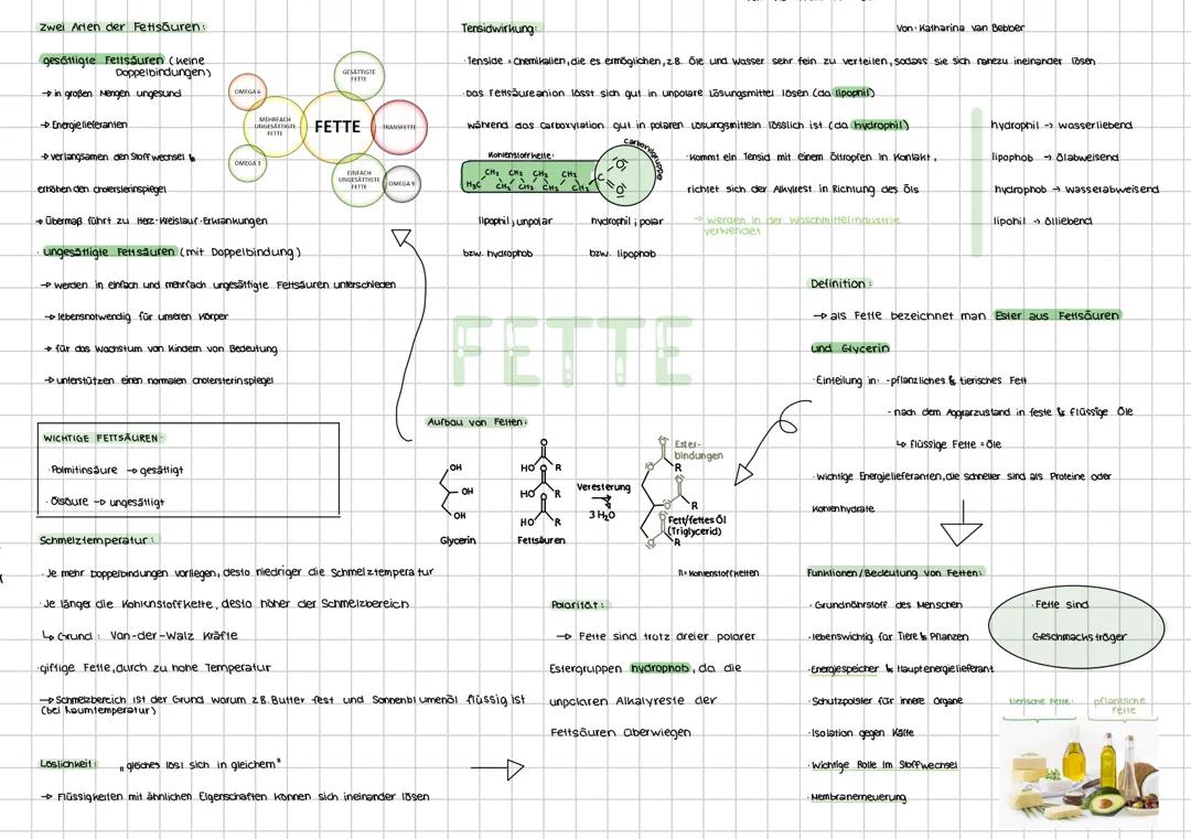 Übersicht Fette (Chemie)