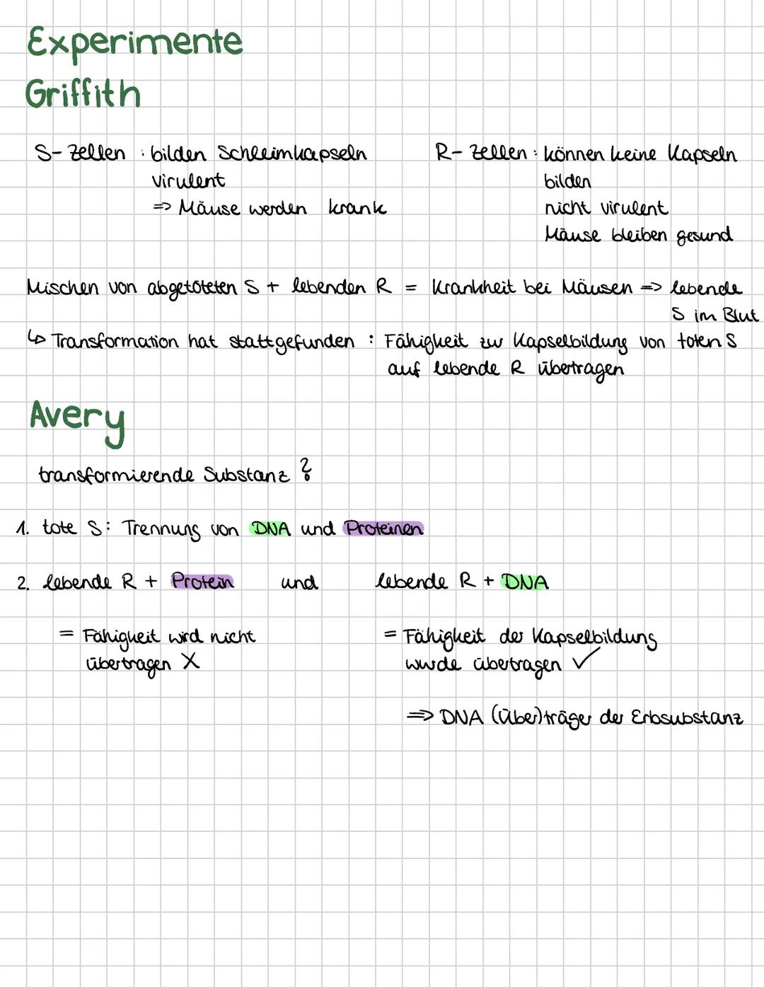 Genetik
Zellen im Vergleich
Cytoskelett
Zellwand
Chloroplast
Pflanzenzelle
Peroxisom
Cytoplasma
Tonoplast
-endoplasmatisches
rau Retikulum
C
