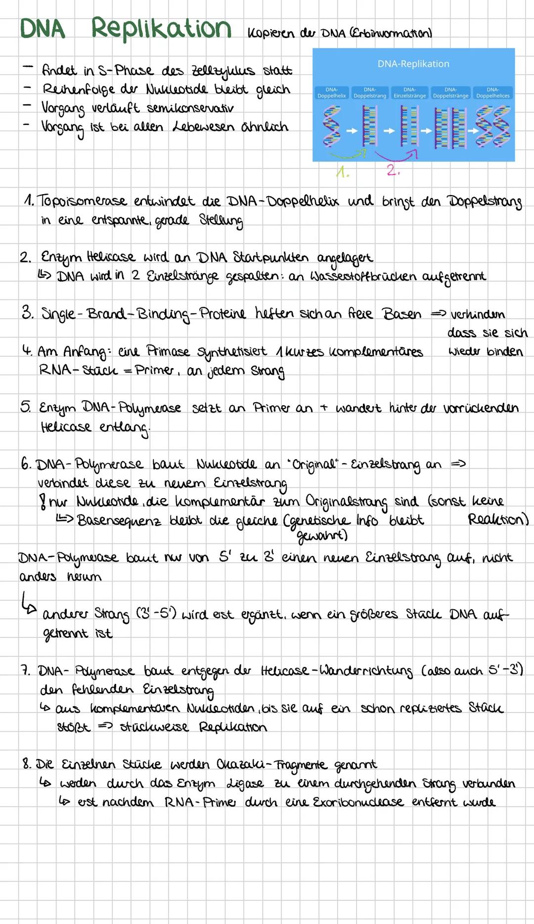 Genetik
Zellen im Vergleich
Cytoskelett
Zellwand
Chloroplast
Pflanzenzelle
Peroxisom
Cytoplasma
Tonoplast
-endoplasmatisches
rau Retikulum
C
