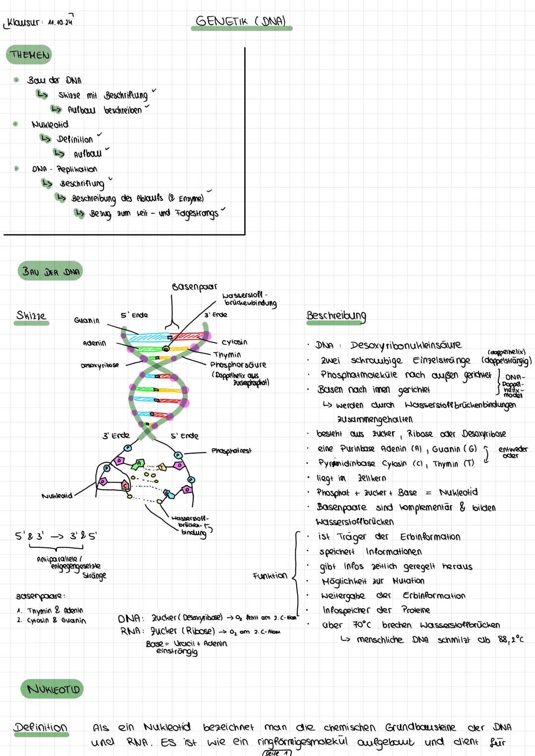 Genetik (Bio, GK, Q1/2)