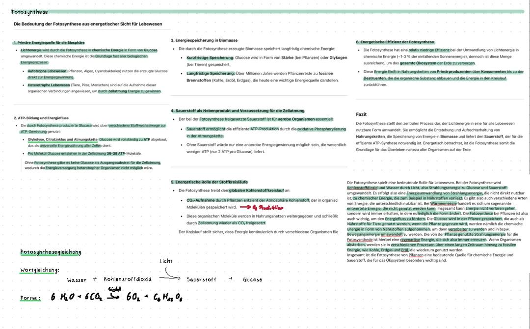 Zellatmung & Fotosynthese (ABI 2025, Bio)