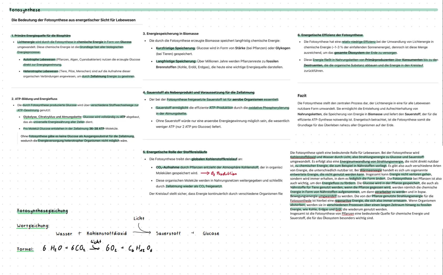 Fotosynthese
Die Bedeutung der Fotosynthese aus energetischer Sicht für Lebewesen
1. Primäre Energiequelle für die Biosphäre
⚫ Lichtenergie