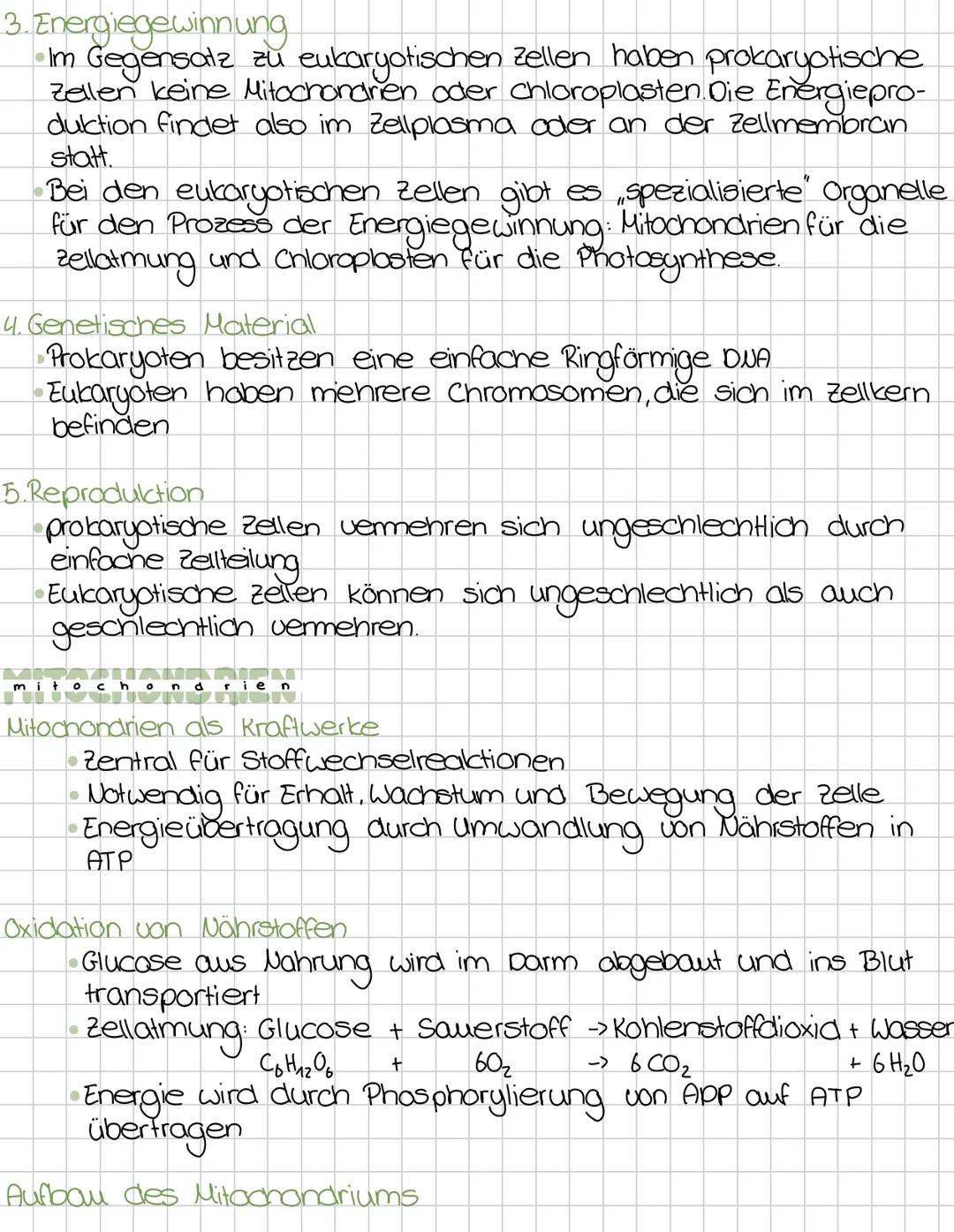 Zellbiologie
Die Zelle ist die kleinste Einheit des Lebendigen.
-Alle Lebewesen sind aus zellen aufgebaut.
Zellen entstehen immer nur durch