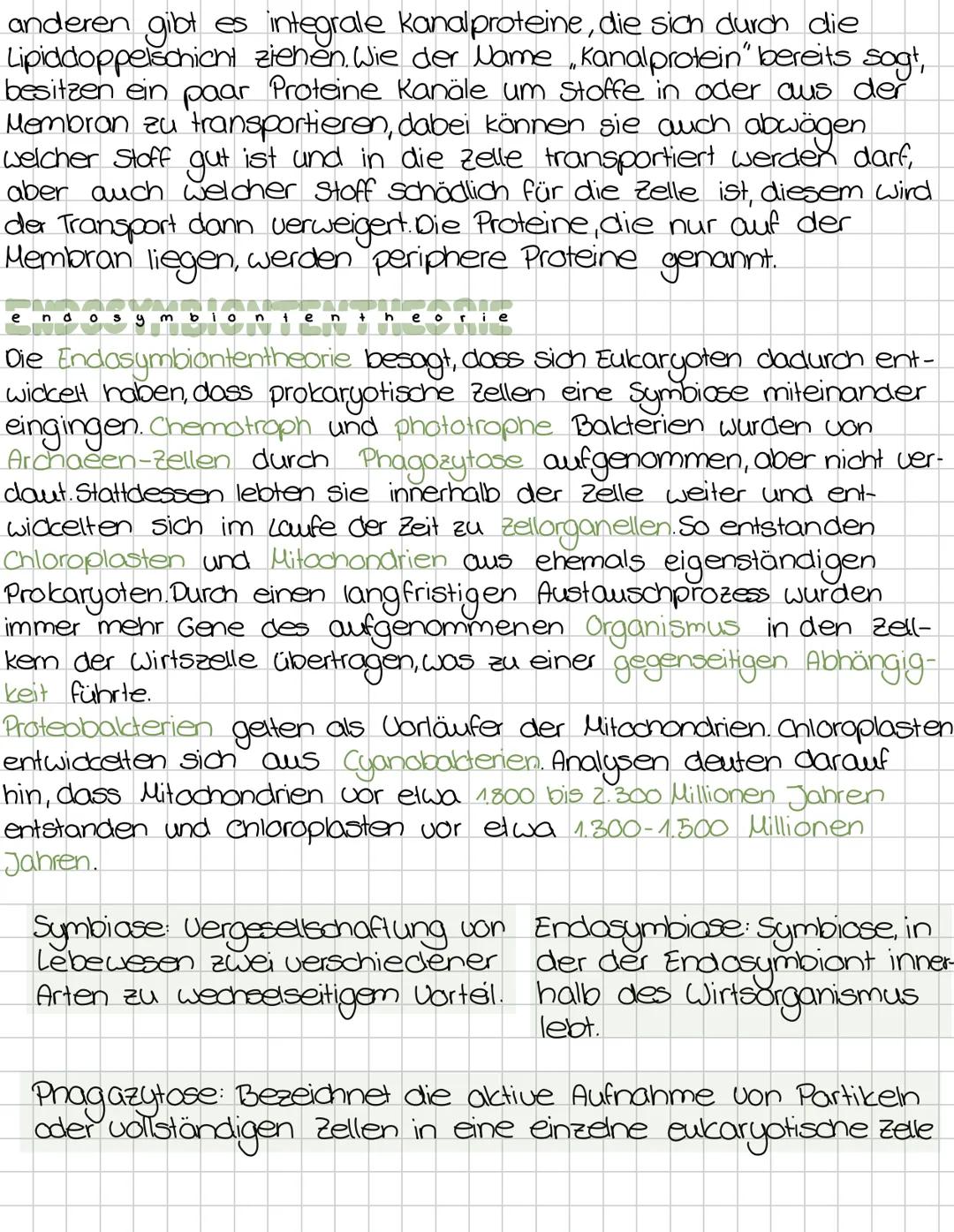 Zellbiologie
Die Zelle ist die kleinste Einheit des Lebendigen.
-Alle Lebewesen sind aus zellen aufgebaut.
Zellen entstehen immer nur durch