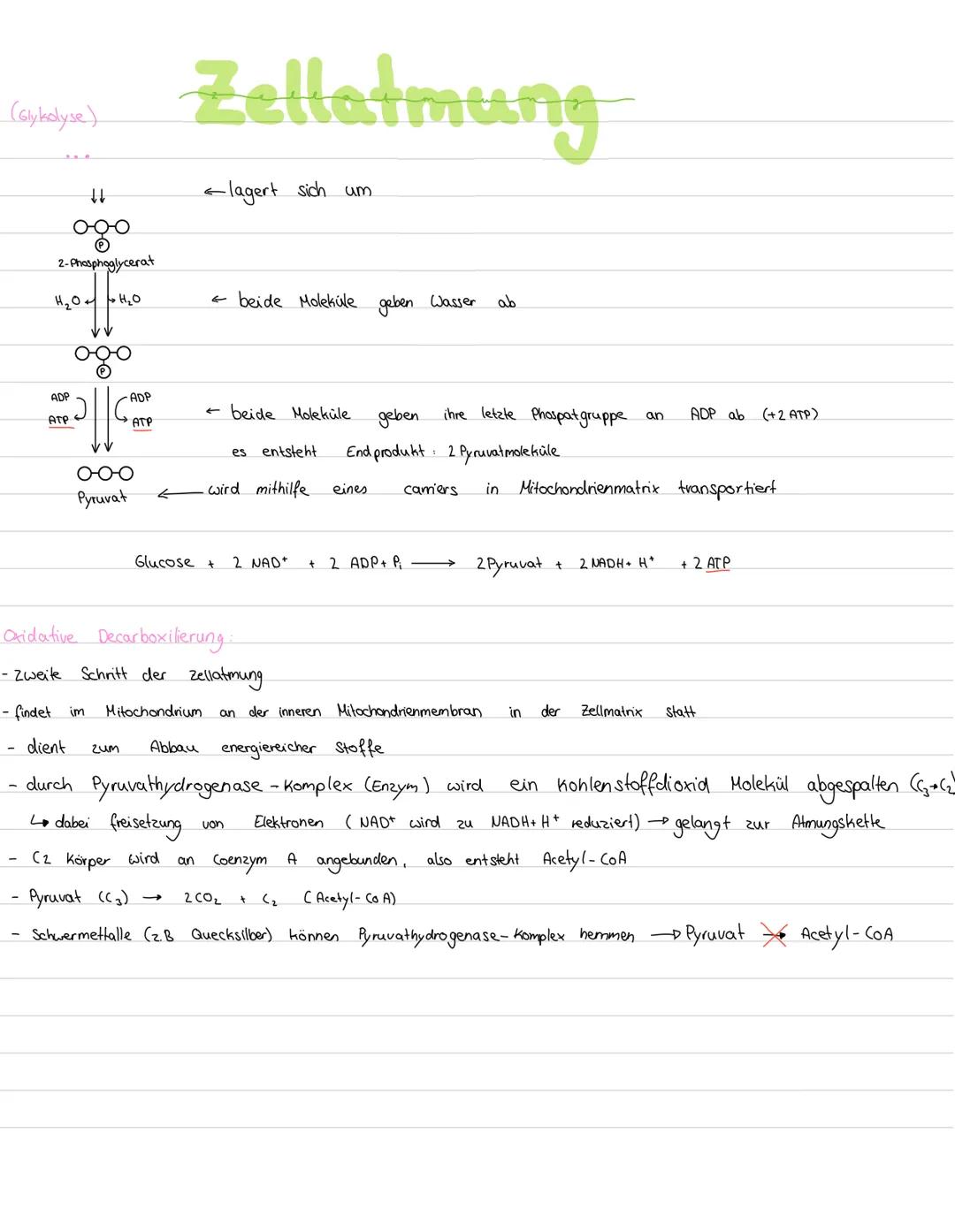 # Zellatmung
Überblick:
energiereiche organische Moleküle $\longrightarrow$ energiearmen anorganischen Moleküle
(wie z.B. Kohlenhydrate +