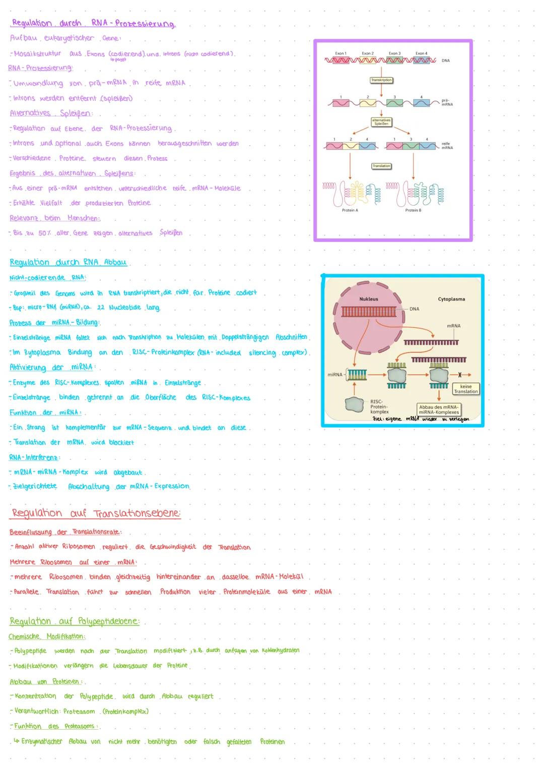 Genregulation
-Ebenen der Genregulation
-Regulation auf Chromatineben,
- Regulation auf Transkriptionsebene.
-Regulation durch RNA- Prozessi
