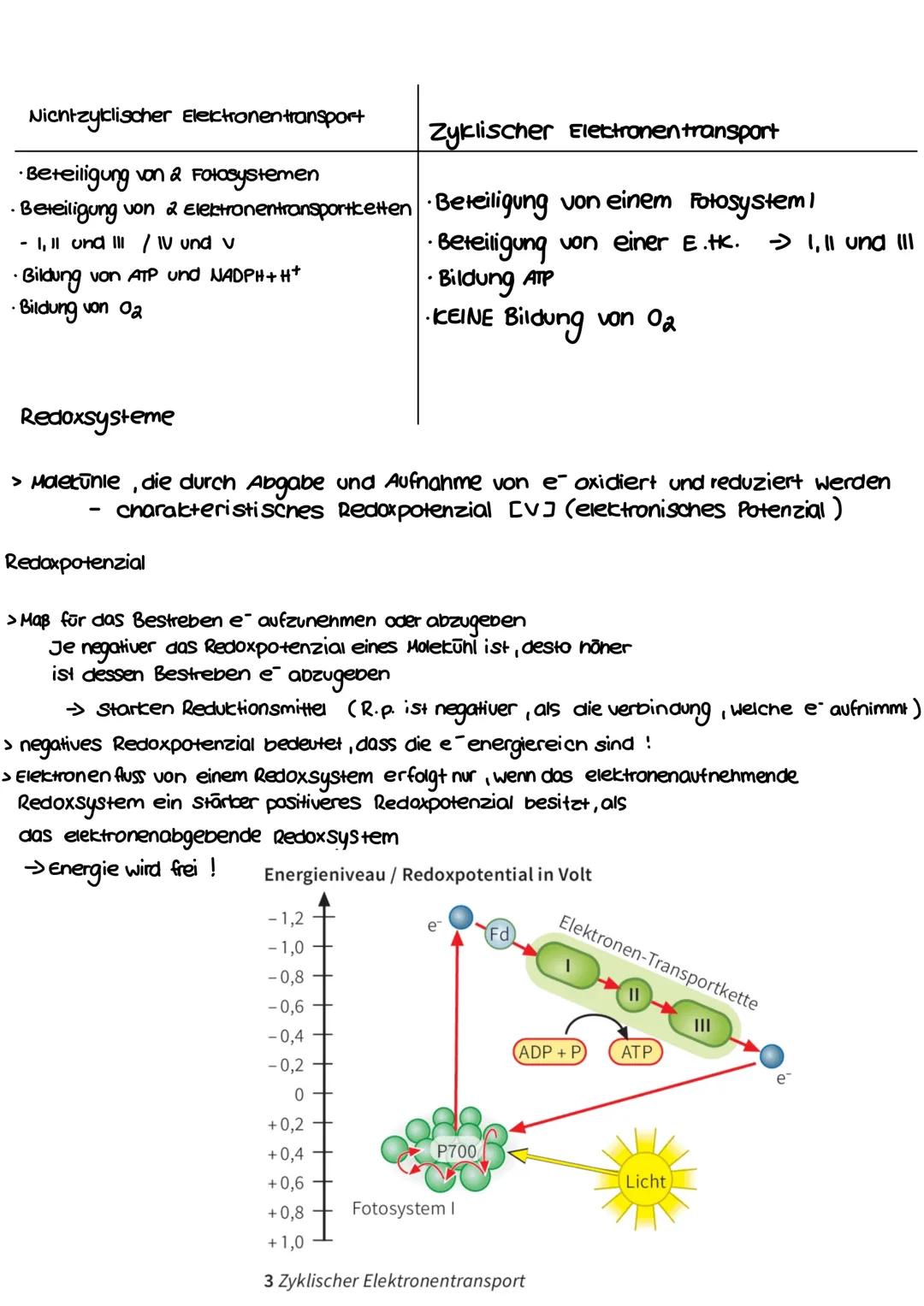 BIOLOGIE
FOTOSYNTHE SE Bedeutung der Fotosynthese
6 CO2 + 6H2O > Сб Нла 06 + 6 02
Bau und Funktion des Blattes :
Xylem Phloem
-Kutikula
Epid