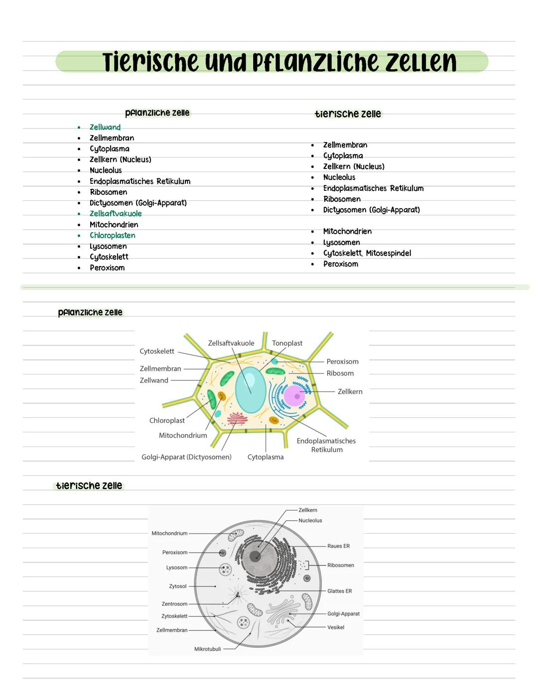Cytologie - EF Klausur