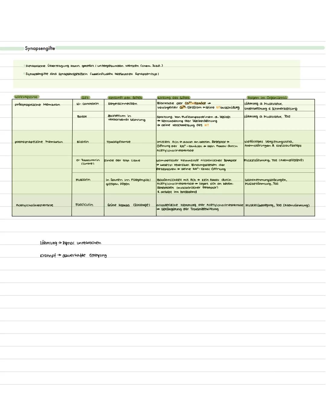 Bau & Funktion
Neurobiologie
Funktion: Erregungsleitung (weiterleitung elek. Erregung)
zellkern: Steuerung der zelle (Protein biosynthese) E