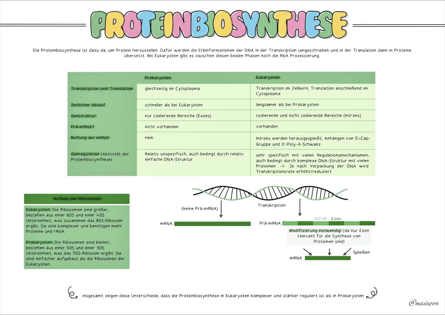 GENETIK # AUFBAU=DNA
die DNA (Desoxyribonucleinsäure) st der Träger unserer Erbinformation
• kommt in jeder Zelle von Lebewesen vor - ist