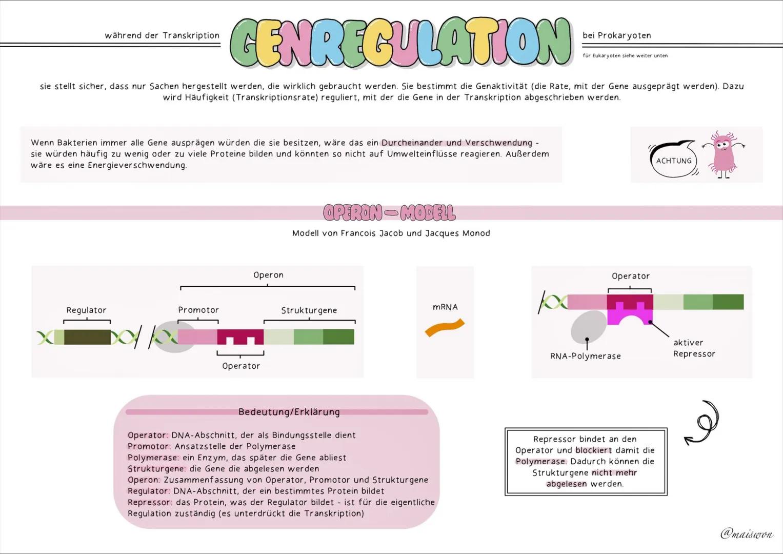 GENETIK # AUFBAU=DNA
die DNA (Desoxyribonucleinsäure) st der Träger unserer Erbinformation
• kommt in jeder Zelle von Lebewesen vor - ist