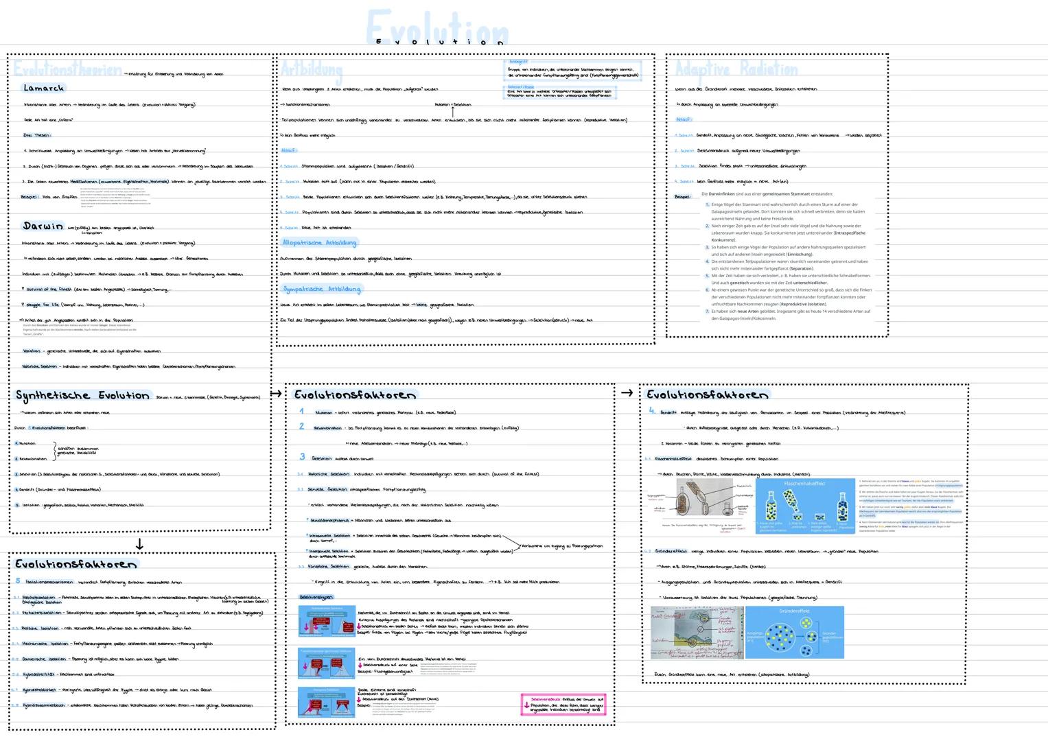 Evolutionstheorienting evening worden on en
Lamarck
Inkonstane ales Arten vondering im
Jade Alt hat one Unterm
Artbildung
Evolution
wenn aus