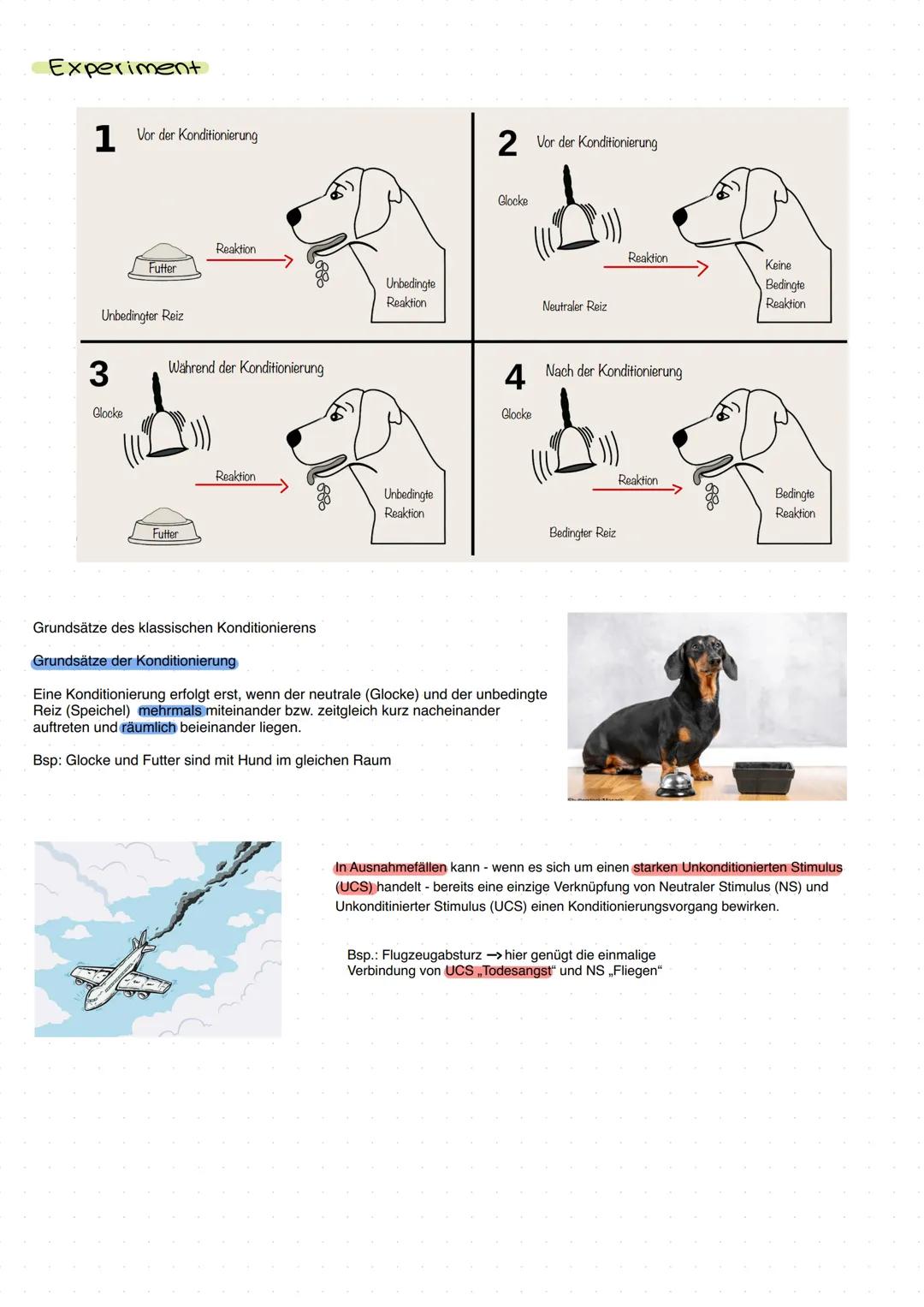 # Klassische Konditionierung
Das klassische Konditionierung ist eine Lerntheorie des Behavionismus
(Begründer ist der russische Psychologe