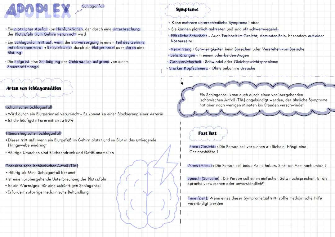 Schlaganfall (Apoplex)