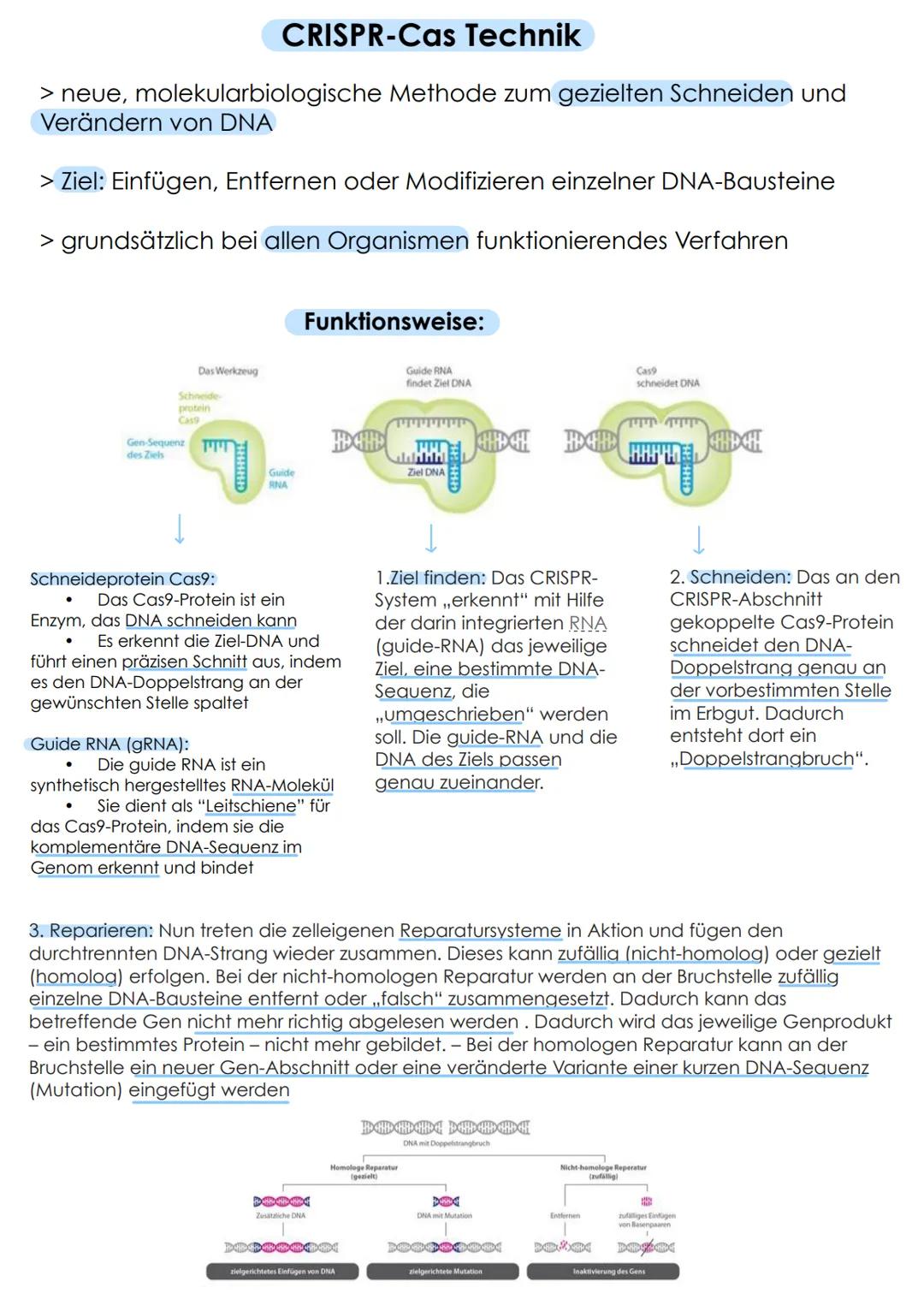 CRISPR-Cas Technik
> neue, molekularbiologische Methode zum gezielten Schneiden und
Verändern von DNA
> Ziel: Einfügen, Entfernen oder Modif