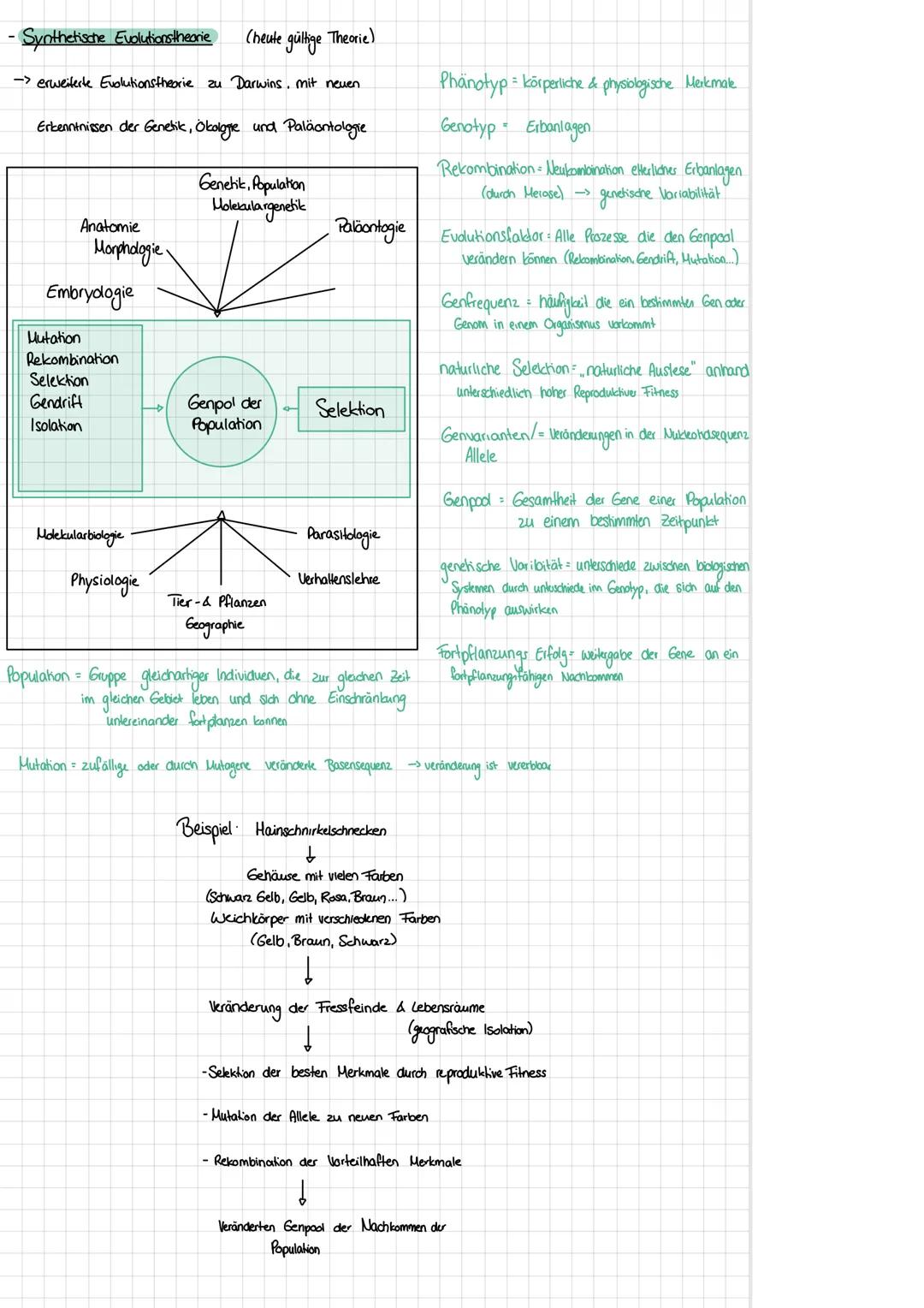 # Evolution
Themenkomplex 3
Vielfalt des Lebens- Evolution (2. Semster)
2.6 Genetische Variabilität innerhalb von Populationen ändert sich