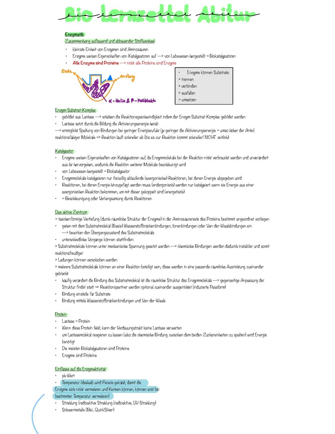 Bio Abitur Lernzettel 2025