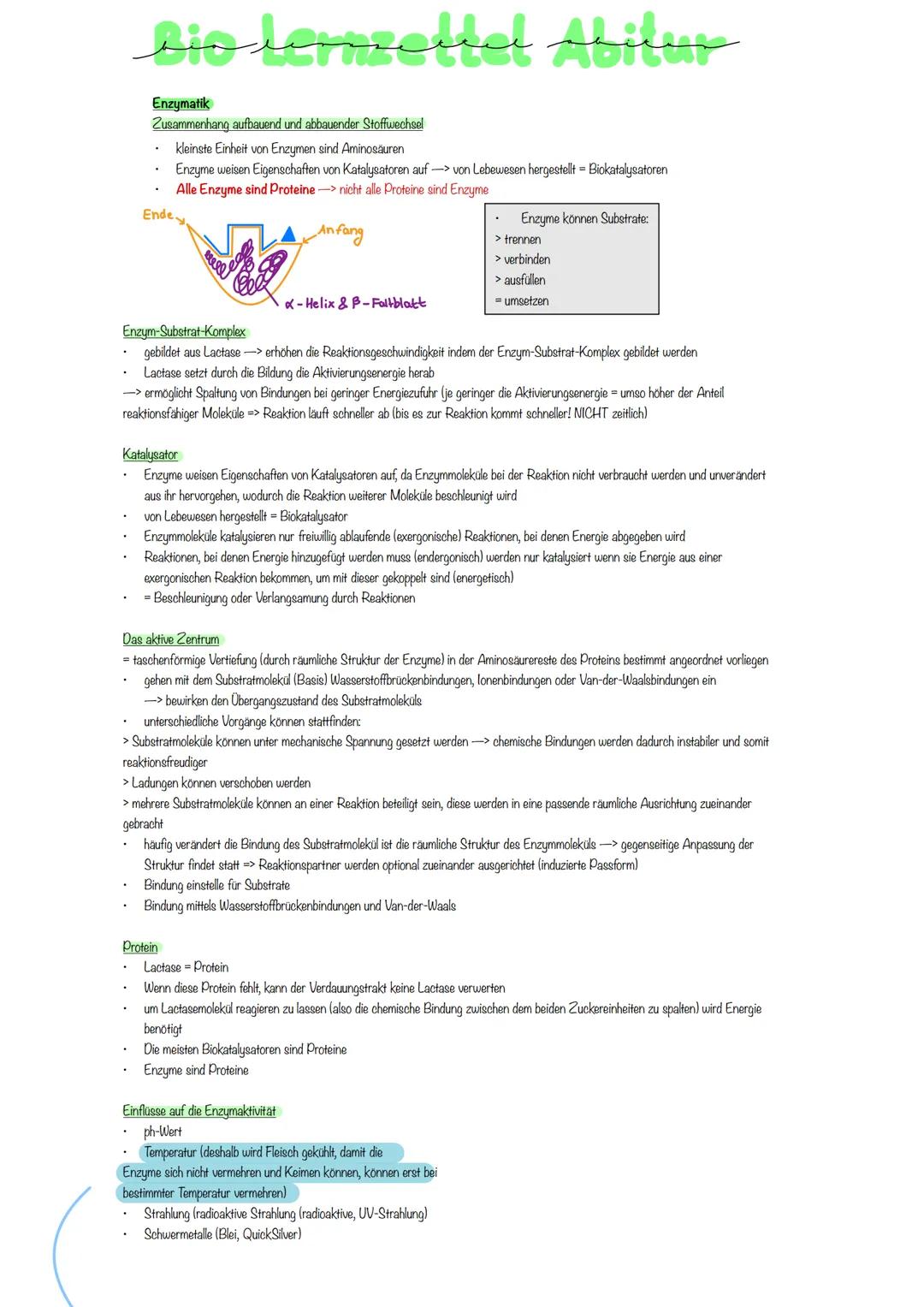 Bio terzould Abile
Enzymatik
Zusammenhang aufbauend und abbauender Stoffwechsel
Ende
kleinste Einheit von Enzymen sind Aminosäuren
Enzyme we