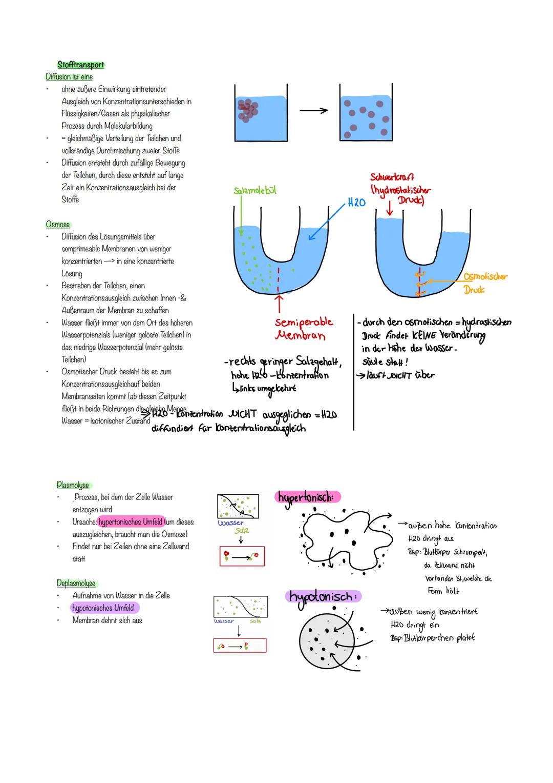 Bio terzould Abile
Enzymatik
Zusammenhang aufbauend und abbauender Stoffwechsel
Ende
kleinste Einheit von Enzymen sind Aminosäuren
Enzyme we