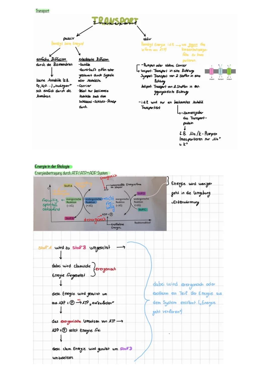 Bio terzould Abile
Enzymatik
Zusammenhang aufbauend und abbauender Stoffwechsel
Ende
kleinste Einheit von Enzymen sind Aminosäuren
Enzyme we