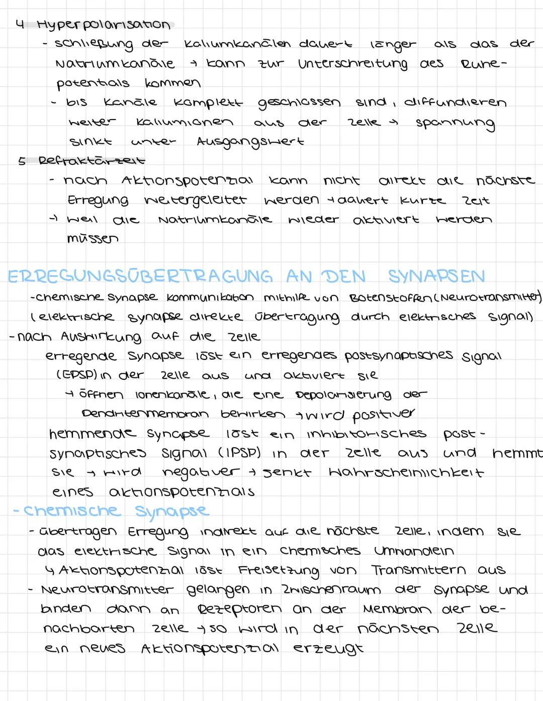 NERVENZELLEN
Dendriten
Zellkörper
Isoma
Axonhügel.
Synapsen
elektrisches signal
Synapsen Informationsübertragung, chemischen Signal
Dendinte