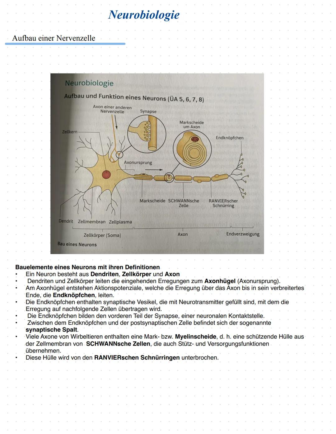 # Neurobiologie
Aufbau einer Nervenzelle
# Neurobiologie
Aufbau und Funktion eines Neurons (UA 5, 6, 7, 8)
Axon einer anderen
Nervenzell