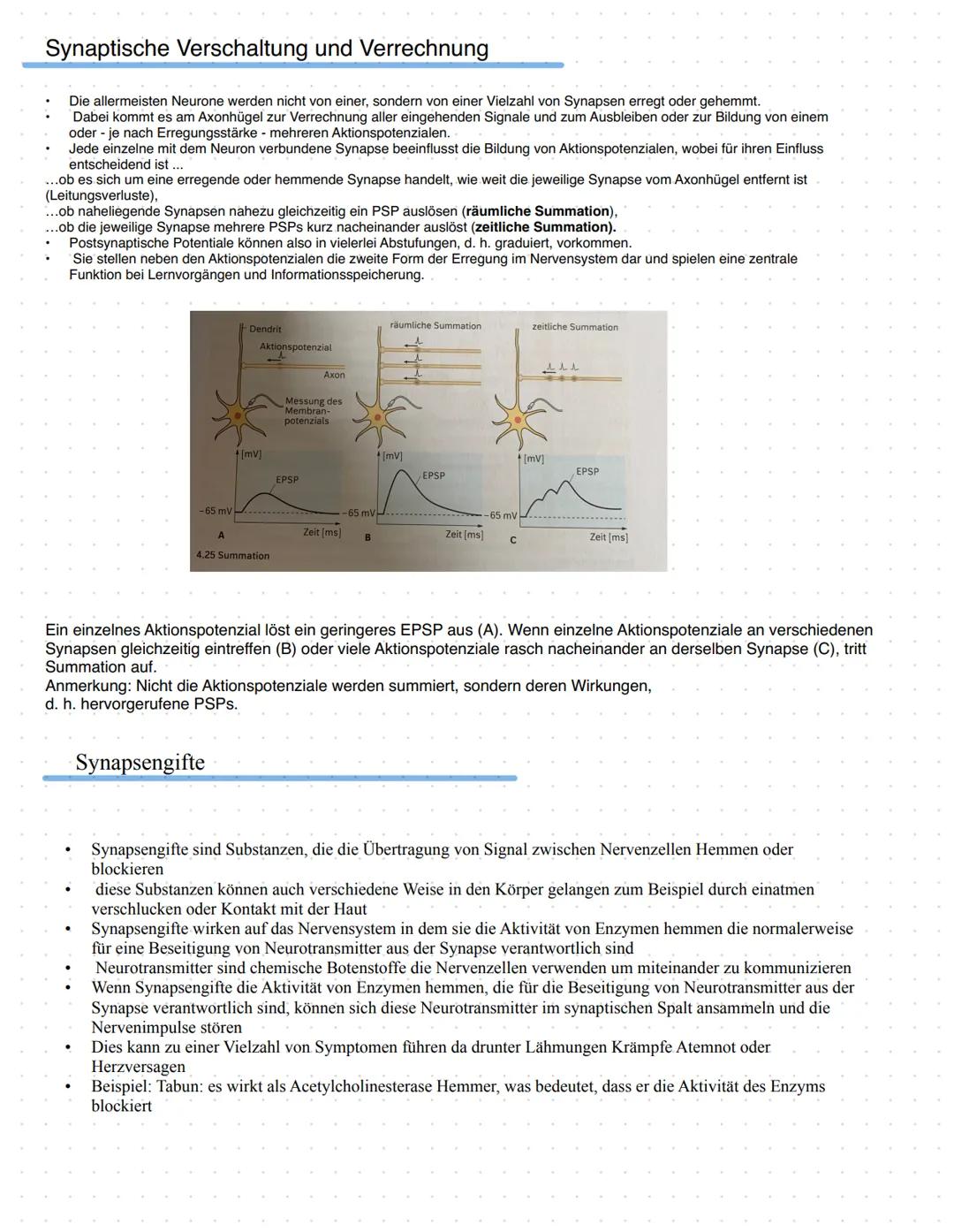 # Neurobiologie
Aufbau einer Nervenzelle
# Neurobiologie
Aufbau und Funktion eines Neurons (UA 5, 6, 7, 8)
Axon einer anderen
Nervenzell