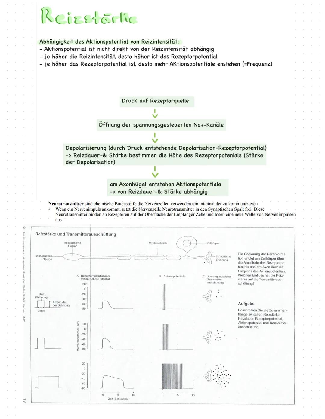 # Neurobiologie
Aufbau einer Nervenzelle
# Neurobiologie
Aufbau und Funktion eines Neurons (UA 5, 6, 7, 8)
Axon einer anderen
Nervenzell