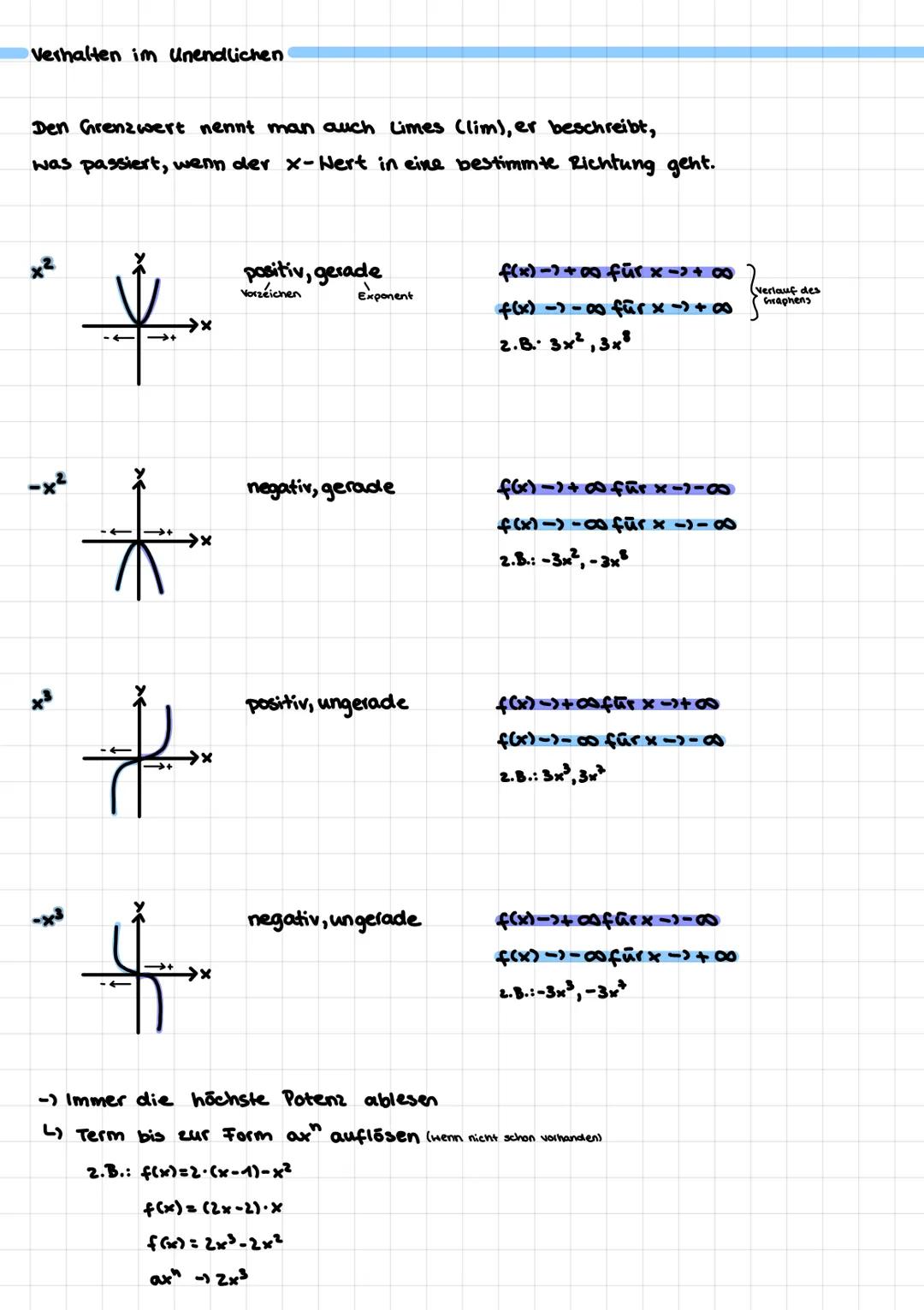 Verhalten im Unendlichen