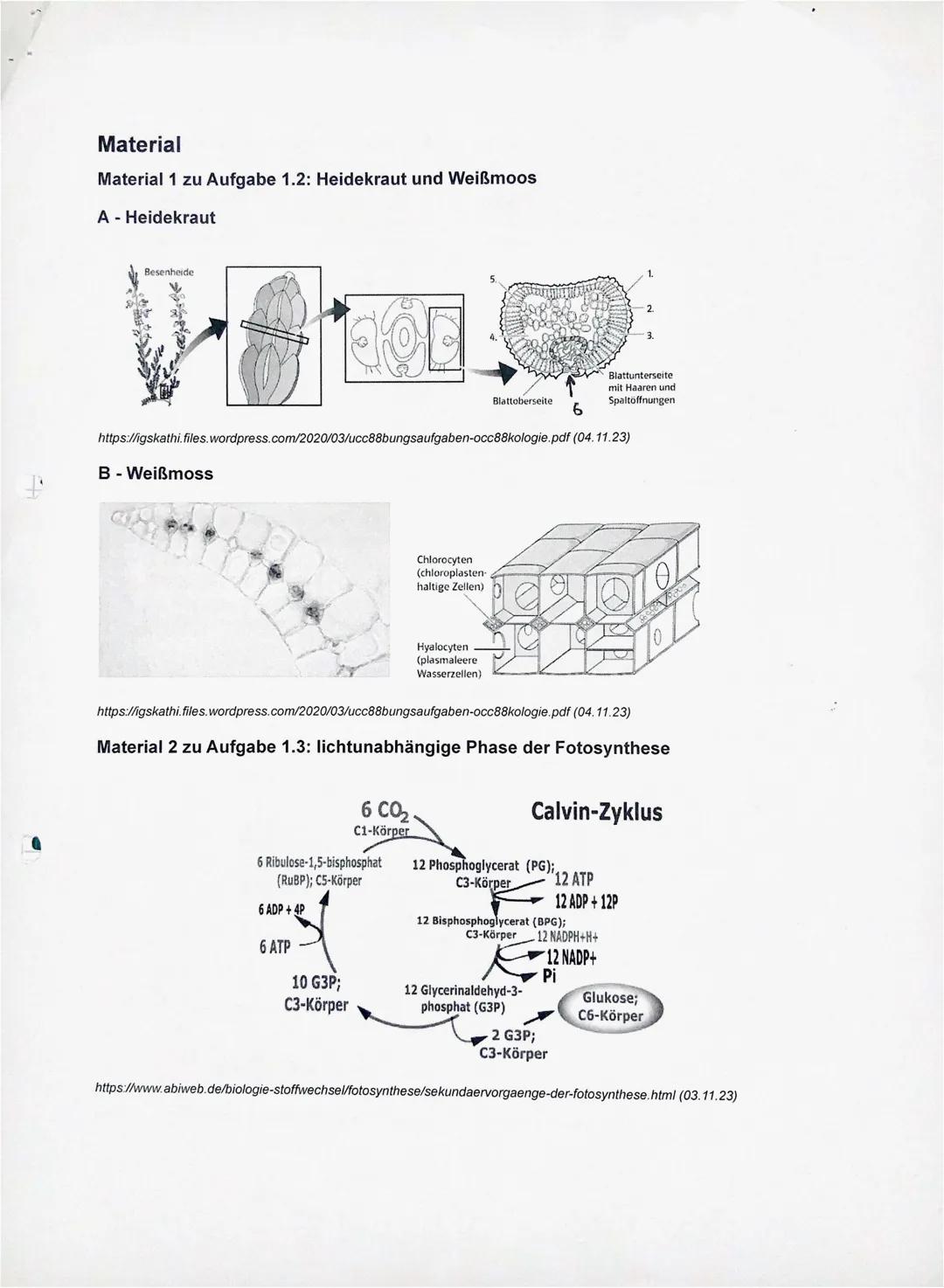 Biologie-Klausur 2023 LK 13 - Thema: Ökologie
1. Die Fotosynthese ist ein biochemischer Vorgang, der bei grünen Pflanzen und
einigen Bakter