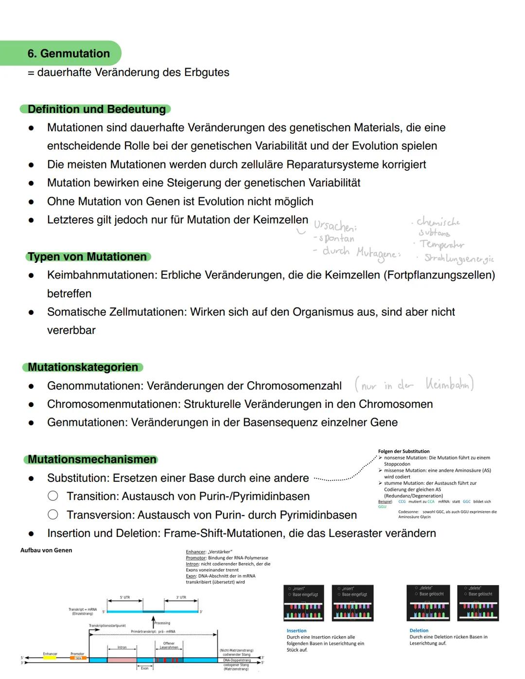 --- OCR Start ---
Genetik - Biologie Klausur
1. Themen
DNA
Chromosomen, Genetischer Code
DNA Replikation
Proteinbiosynthese
Genmutation
Mito