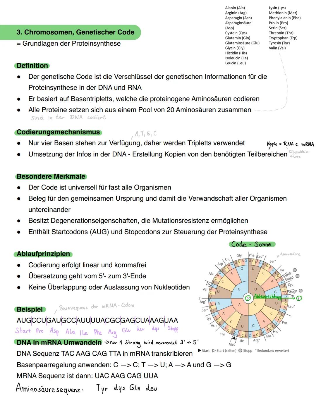 --- OCR Start ---
Genetik - Biologie Klausur
1. Themen
DNA
Chromosomen, Genetischer Code
DNA Replikation
Proteinbiosynthese
Genmutation
Mito