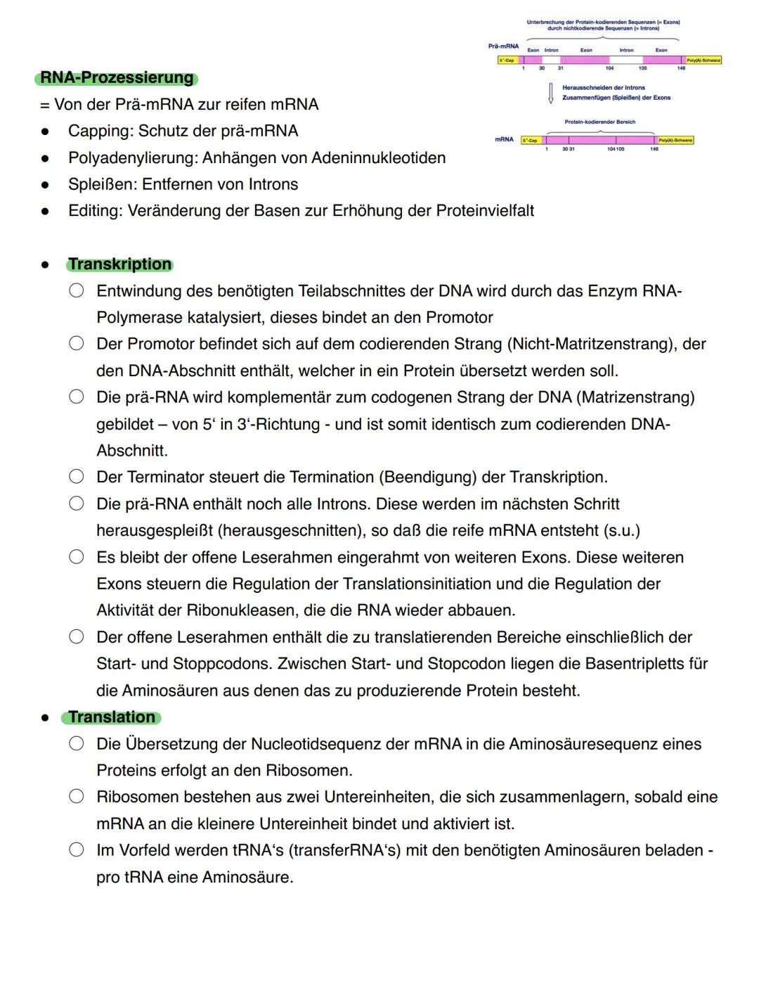 --- OCR Start ---
Genetik - Biologie Klausur
1. Themen
DNA
Chromosomen, Genetischer Code
DNA Replikation
Proteinbiosynthese
Genmutation
Mito
