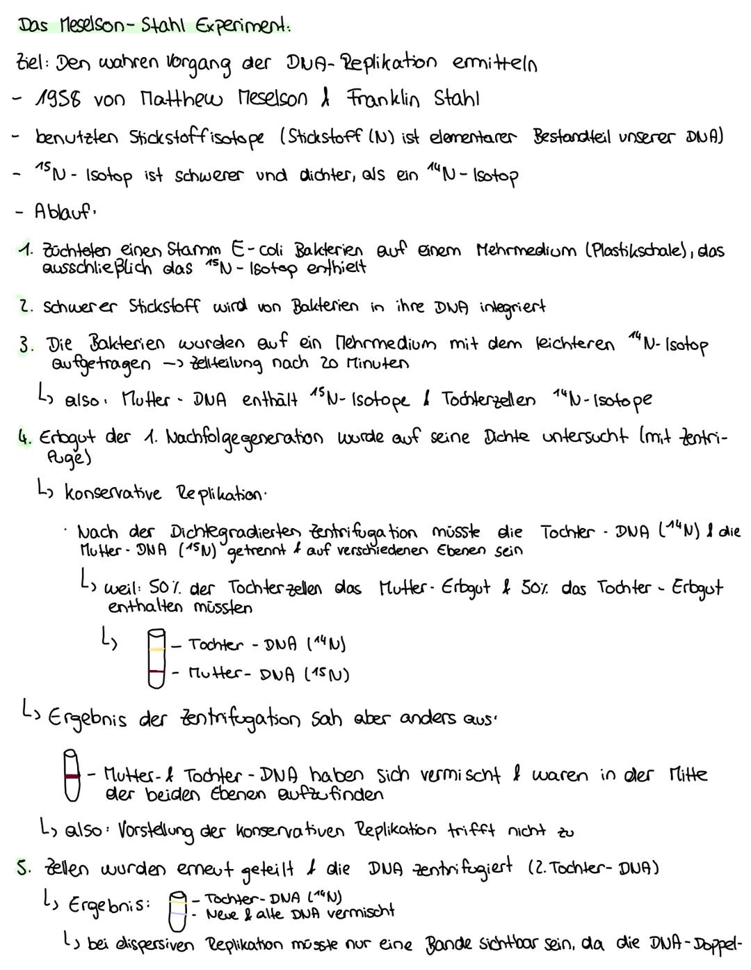 --- OCR Start ---
Biologie - Lernzettel
DNA Aufbau:
- Doppelhelix - Struktur
L. Zucker und Phosphatreste wechseln sich ab → bilden das Grund
