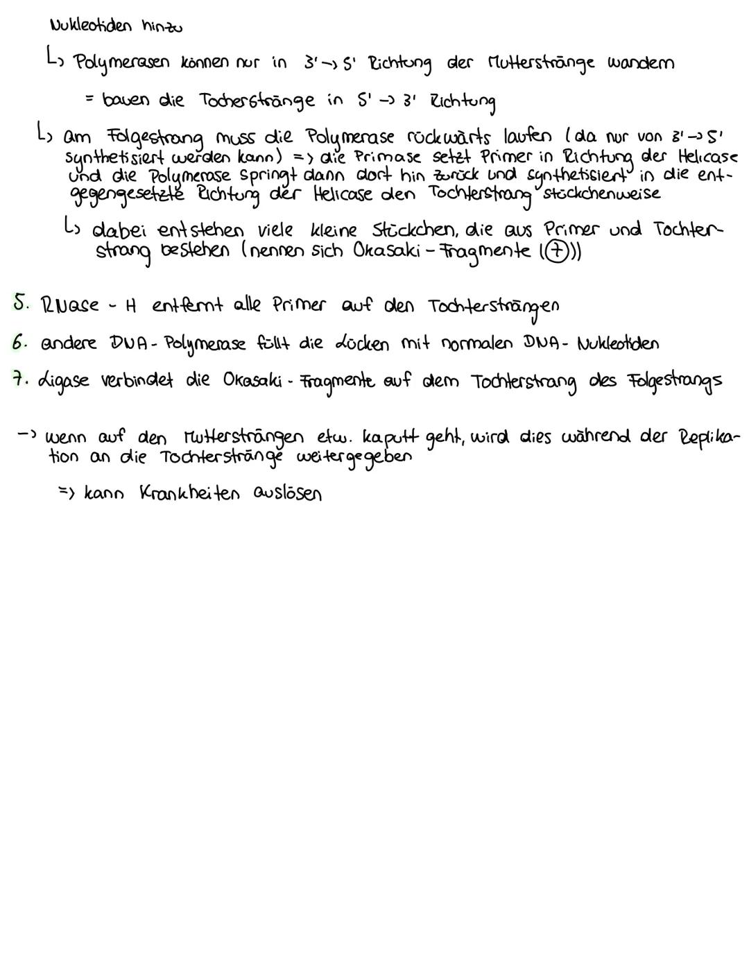 --- OCR Start ---
Biologie - Lernzettel
DNA Aufbau:
- Doppelhelix - Struktur
L. Zucker und Phosphatreste wechseln sich ab → bilden das Grund