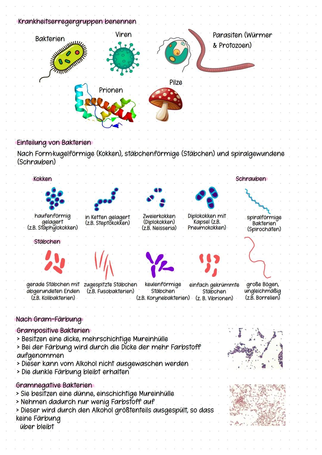 --- OCR Start ---
HYGIENE
Private und berufliche Hygiene
Definition Standardhygienemaßnahmen
> Auch Basishygienemaßnahmen genannt
> Sind gru